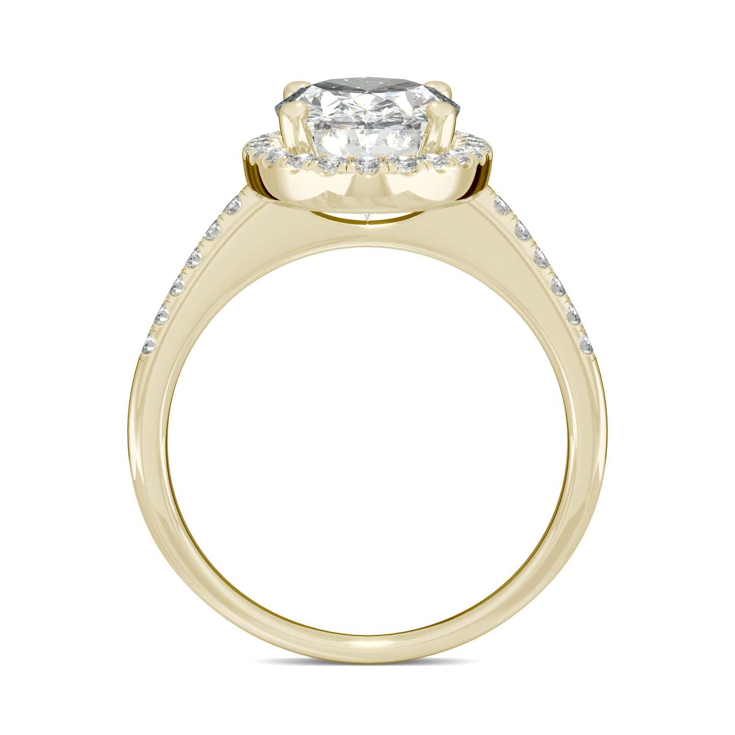 4.75 CTW Elongated Oval Moissanite Halo Ring